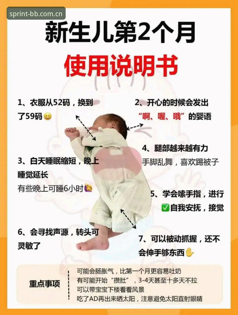BB版本常见问题 BB版本常见问题全解析与使用指南
